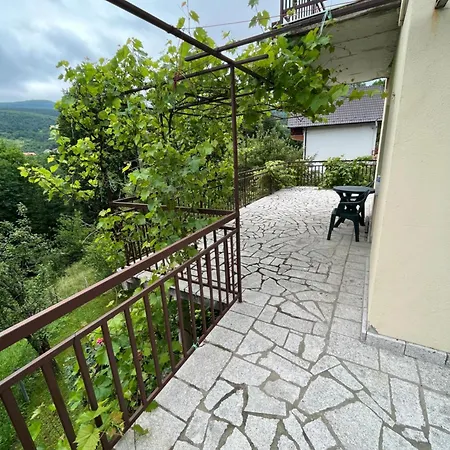 Apartment Aparthouse Bilic - Terrace *
